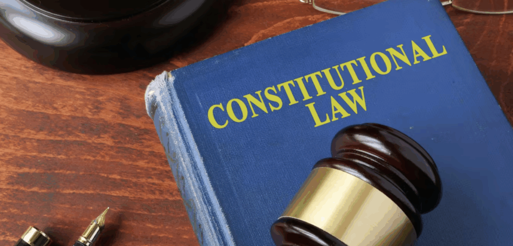 constitutional law courses
